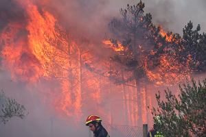 Chorwacja dotknięta pożarami - Siły zbrojne zaangażowane w akcję ratunkową