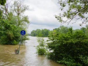 Tragedia natury - Tempo pogarszania się sytuacji zaskakuje