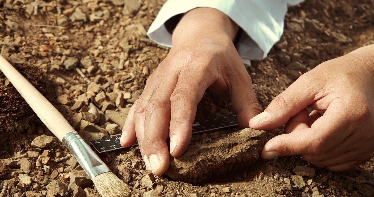 Tajemnicza jaskinia ujawnia tajemnice z historii podczas śledztwa archeologicznego