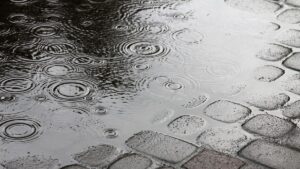 Warszawa - Prognoza Pogodowa na Dzień 05.01.2025.